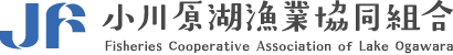 小川原湖漁業協同組合